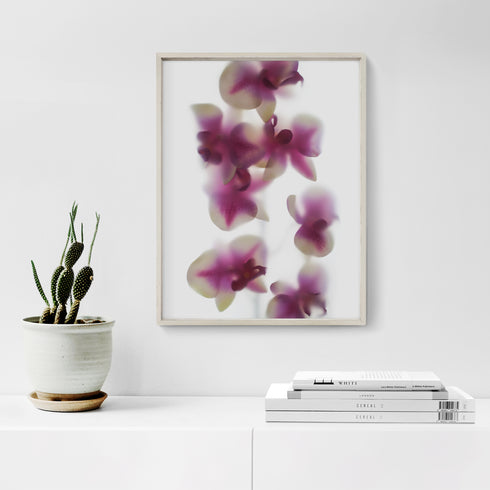 Pink White Orchids I Floral Art Print