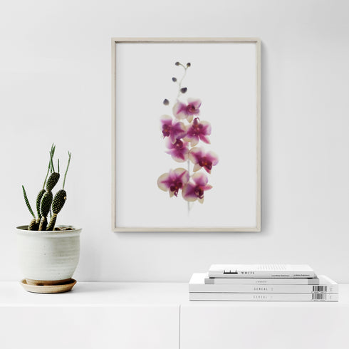 Pink Orchids Art Print Set