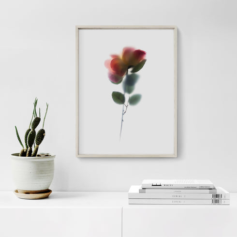 Pink Salmon Rose Floral Art Print