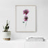 Pink Scabiosa Stem I Floral Art Print