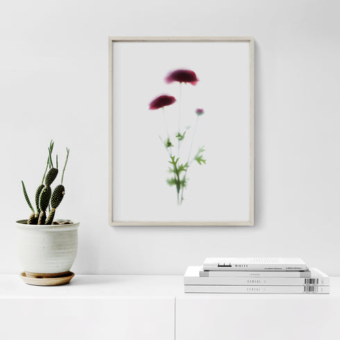 Red Poppies Floral Art Print