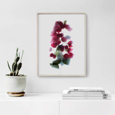 Red Bougainvillea Floral Art Print