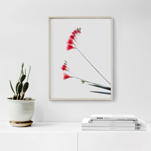 Red Freesias I Floral Art Print