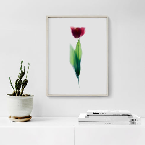 Pink Tulip Stem Floral Art Print