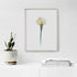 White Calla Lily I Art Print