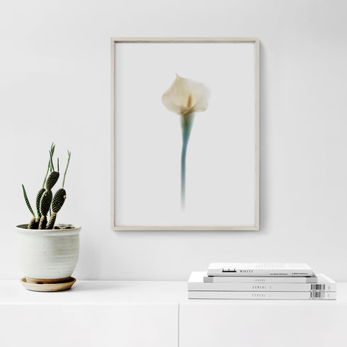 White Calla Lily Art Print Set