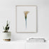 White Calla Lily II Art Print