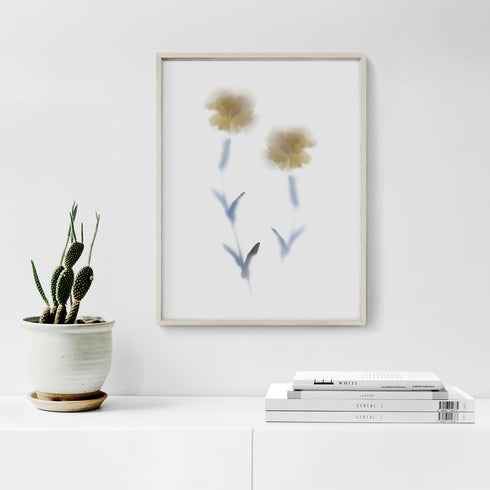 White Carnations Art Print