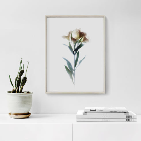 White Lily Stem Floral Art Print