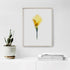 Yellow Calla Lily Floral Art Print