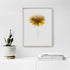 Yellow Dahlia Floral Art Print