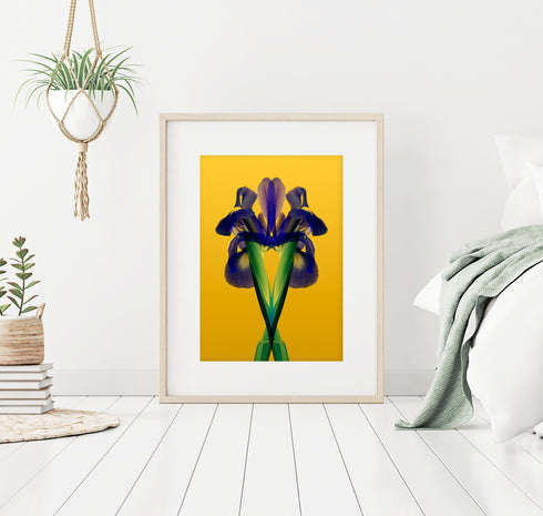 Purple Iris - Signed Edition Art Print