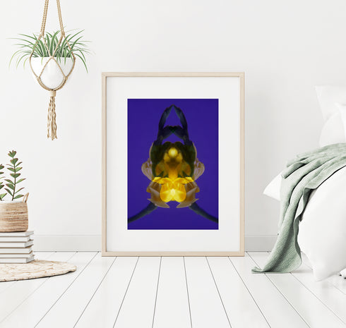 Yellow Freesia on Purple - Signed Edition Art Print