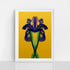 Purple Iris - Signed Edition Art Print